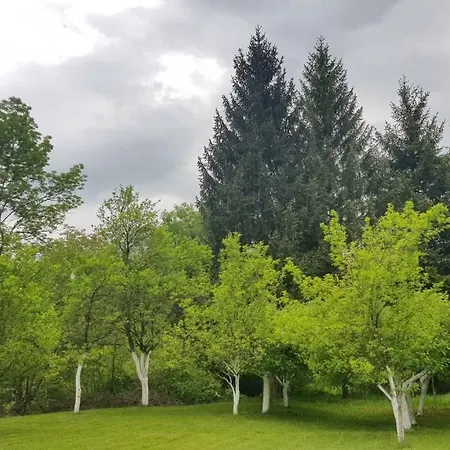 Гостевой дом Vila Crni *