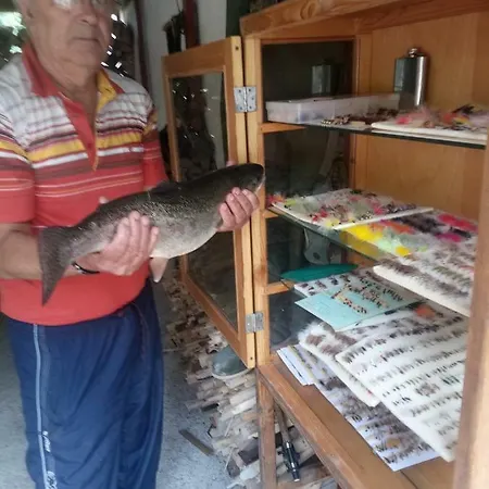 Vila Crni Гостевой дом
